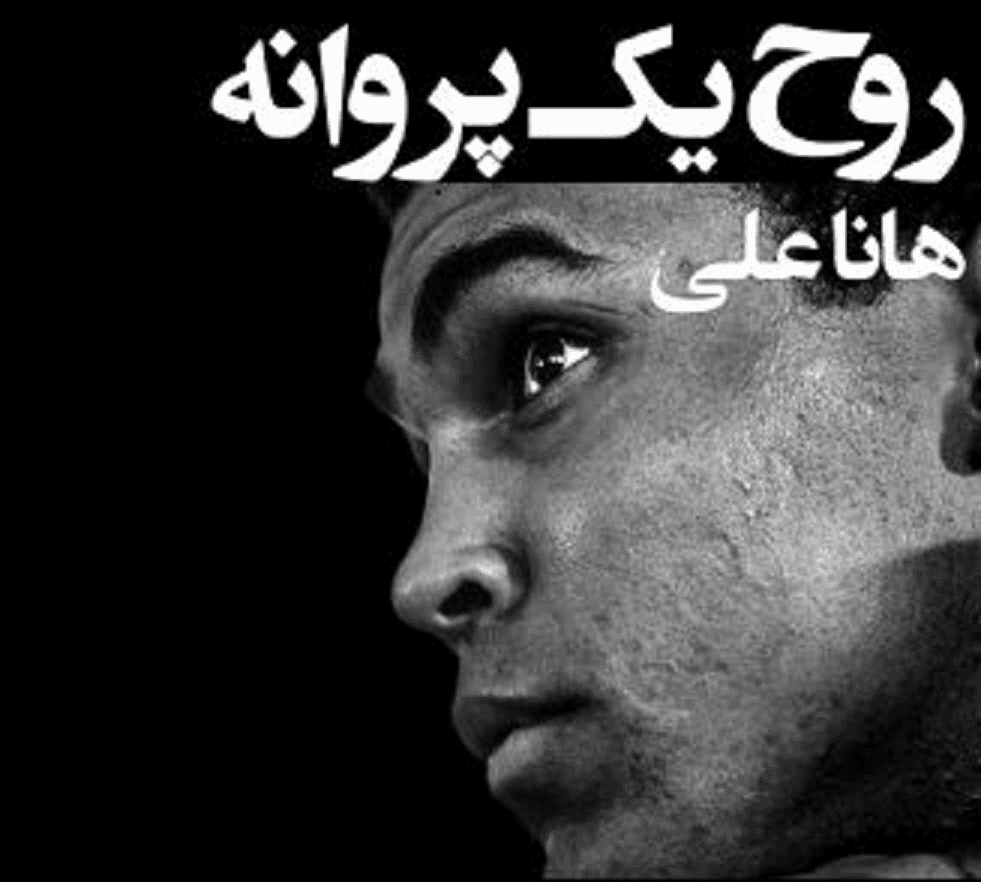 تصویر کتاب صوتی روح یک پروانه